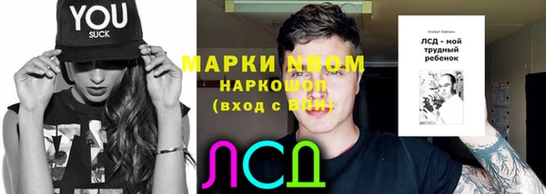 спайс Арсеньев